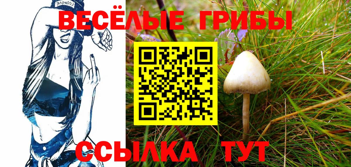 Кокаин  ГАШ  Орёл  APVP СК кристаллы  Канабис  Меф кристаллы  Вход с VPN 
